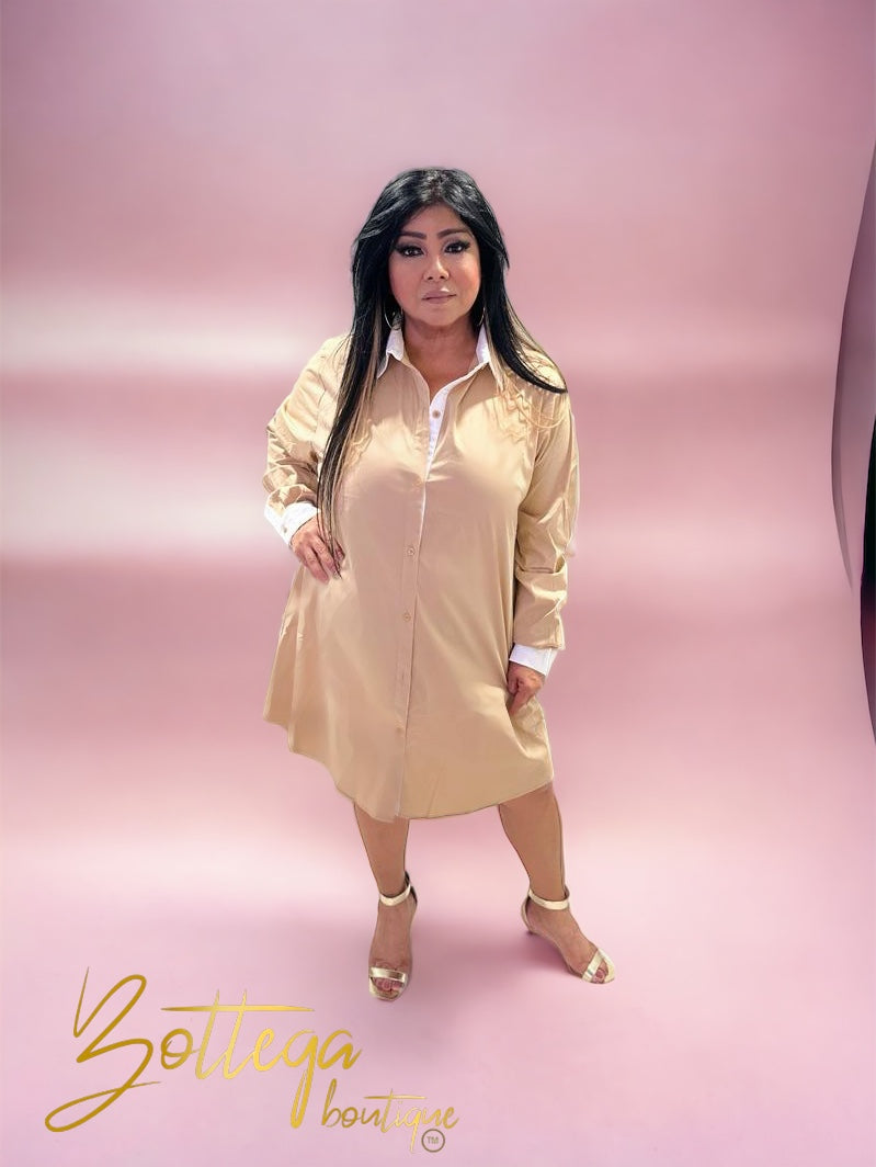 Tunic Collar Long Sleeves Dress / Taupe